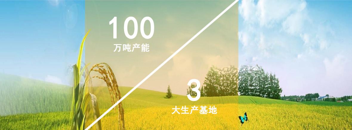 公司簡(jiǎn)介背景