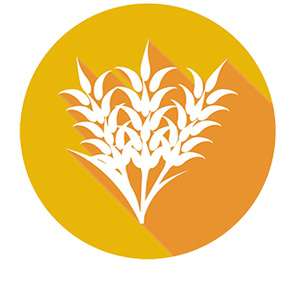 復(fù)合肥